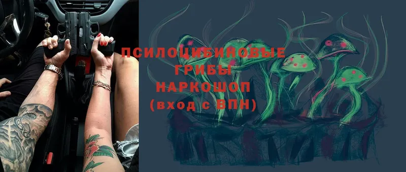 Галлюциногенные грибы MAGIC MUSHROOMS  закладка  Абаза 